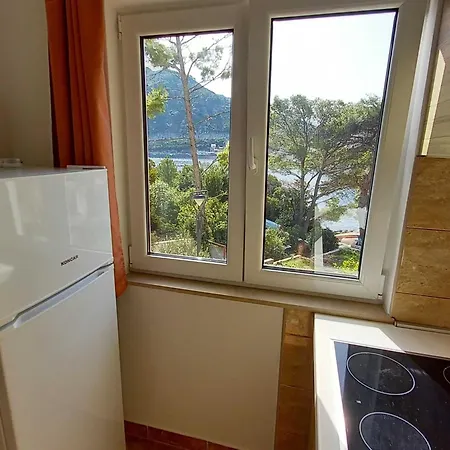 Apartment Vinko Mljet- One-bedroom With Terrace A5 Sobra