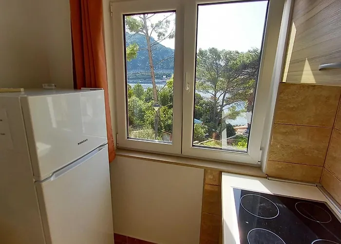 Апартаменты Vinko Mljet- One-bedroom With Terrace A5 Собра